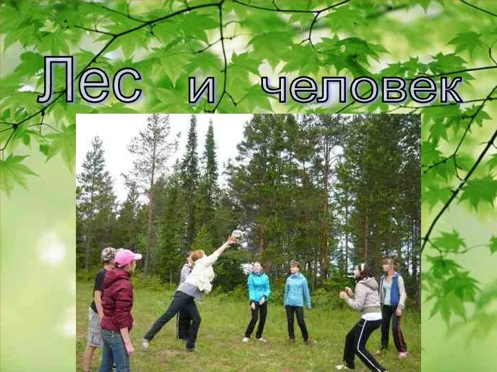 Лес и человек