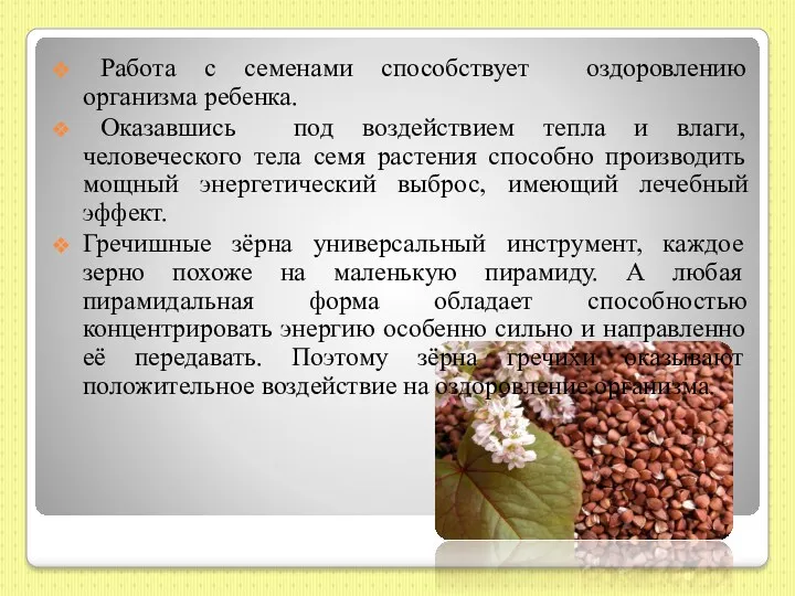 Работа с семенами способствует оздоровлению организма ребенка. Оказавшись под воздействием