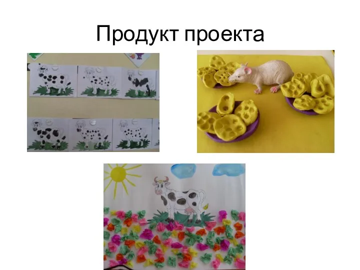 Продукт проекта