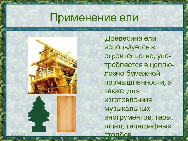 Применение ели Древесина ели используется в строительстве, упо-требляется в целлю-лозно-бумажной промышленности, а также