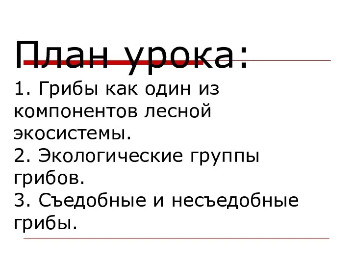 План урока: 1. Грибы как один из компонентов лесной экосистемы.