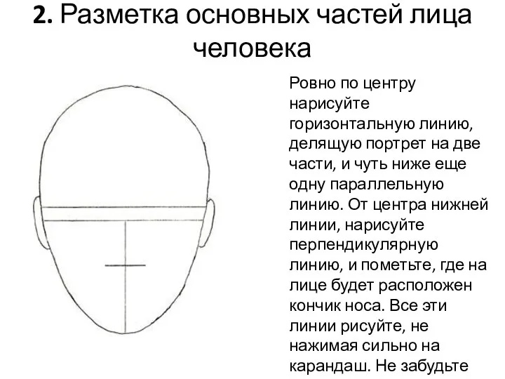 2. Разметка основных частей лица человека Ровно по центру нарисуйте горизонтальную линию, делящую