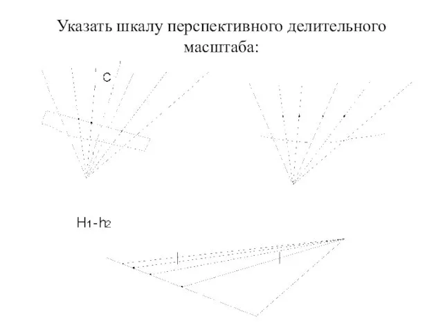 Указать шкалу перспективного делительного масштаба: