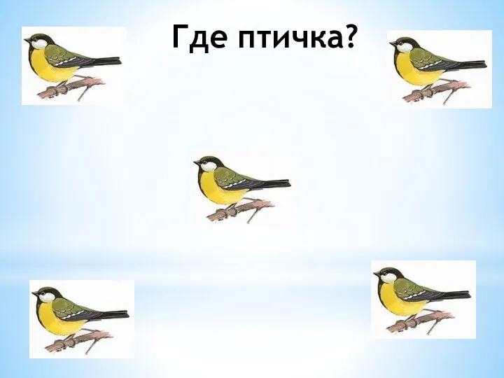 Где птичка?