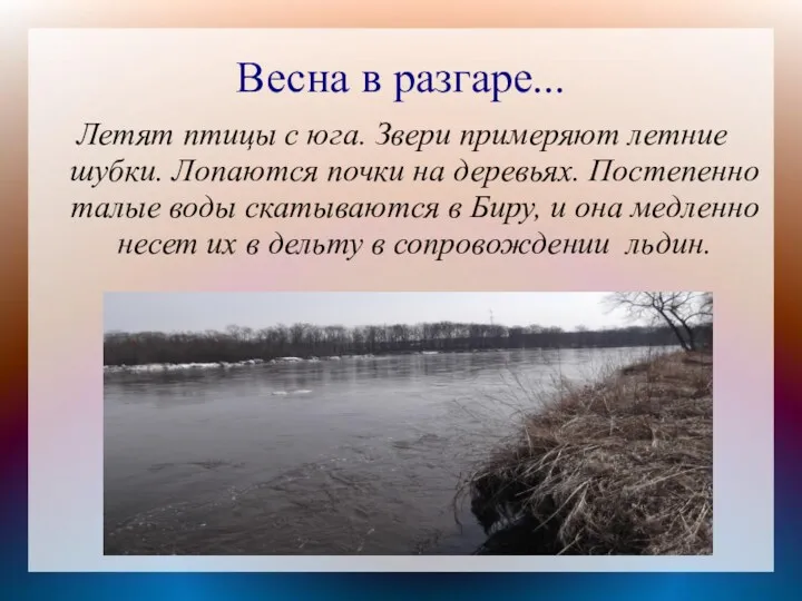 Весна в разгаре... Летят птицы с юга. Звери примеряют летние