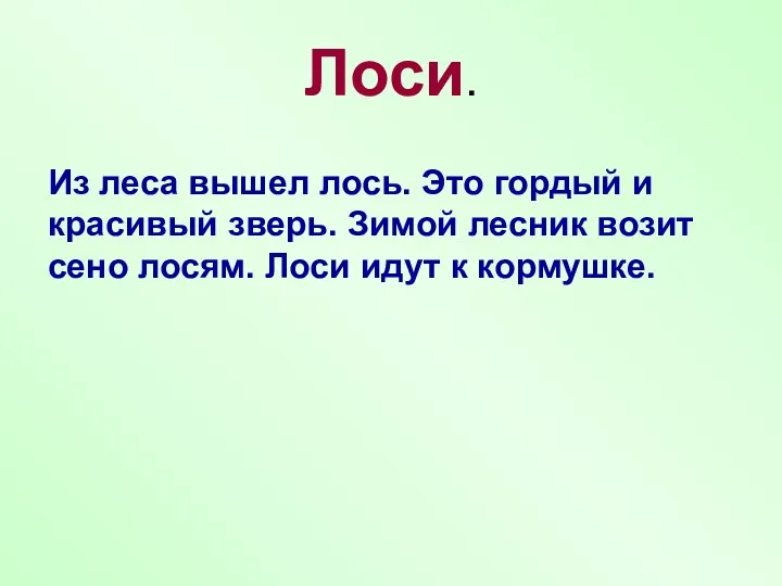 Лоси. Из леса вышел лось. Это гордый и красивый зверь.