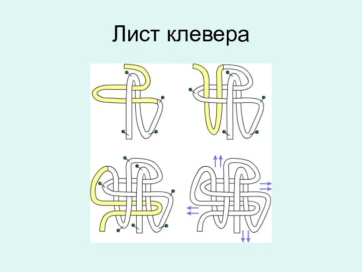 Лист клевера