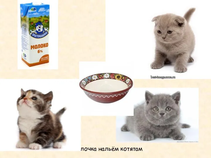 Молочка нальём котятам