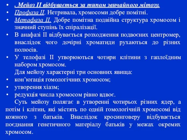 . Мейоз II відбувається за типом звичайного мітозу. Профаза II.