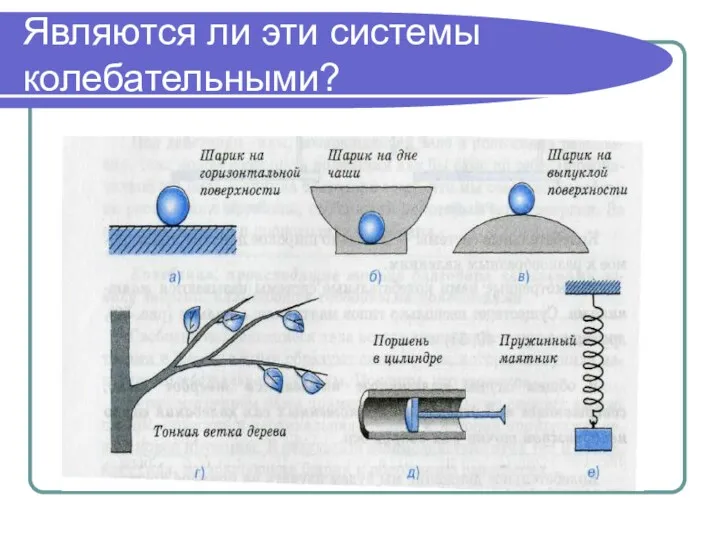 Являются ли эти системы колебательными?