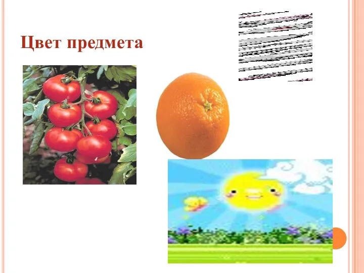 Цвет предмета