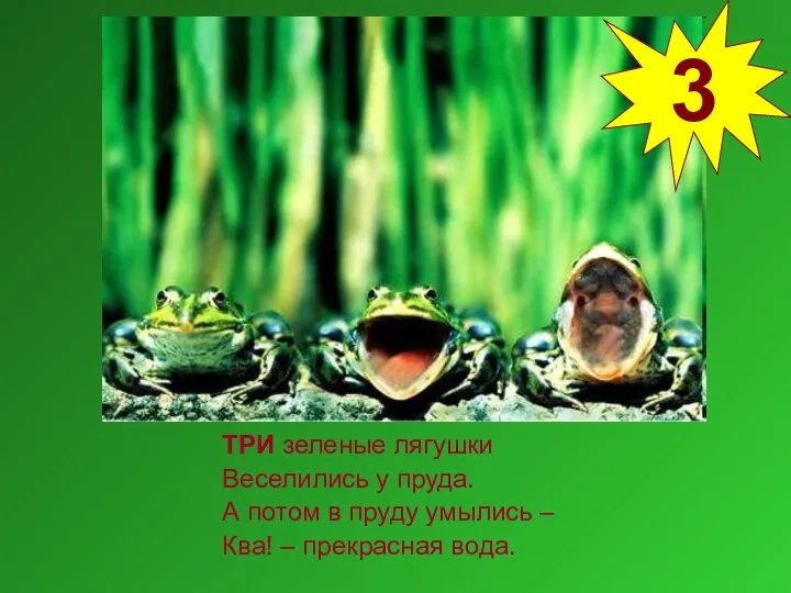 ТРИ зеленые лягушки Веселились у пруда. А потом в пруду