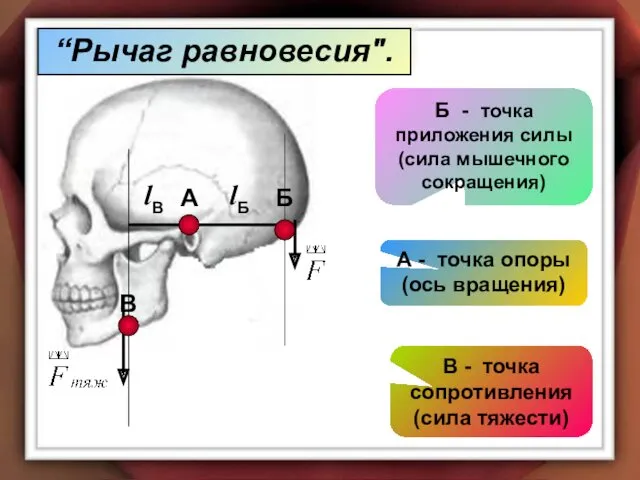А B Б lB lБ А - точка опоры (ось