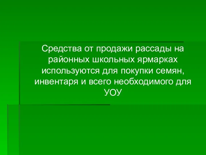 Средства от продажи рассады на районных школьных ярмарках используются для