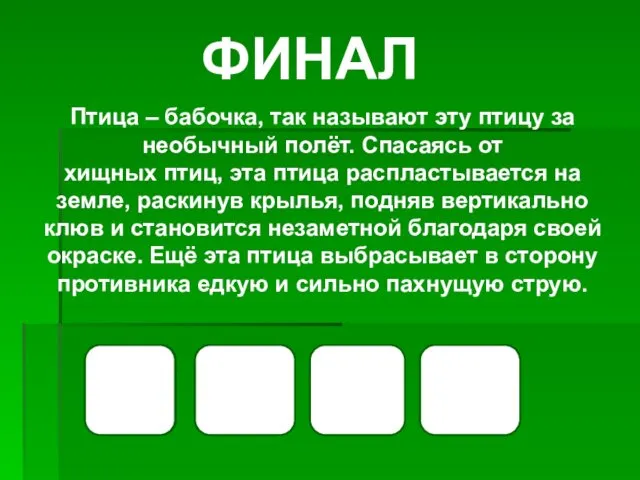 У Д О Птица – бабочка, так называют эту птицу