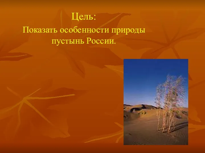 Цель: Показать особенности природы пустынь России.