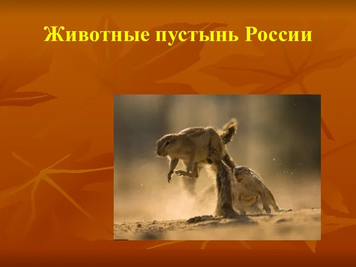 Животные пустынь России