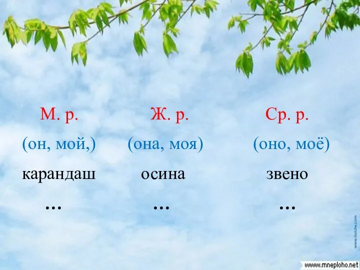 М. р. Ж. р. Ср. р. (он, мой,) (она, моя) (оно, моё) карандаш