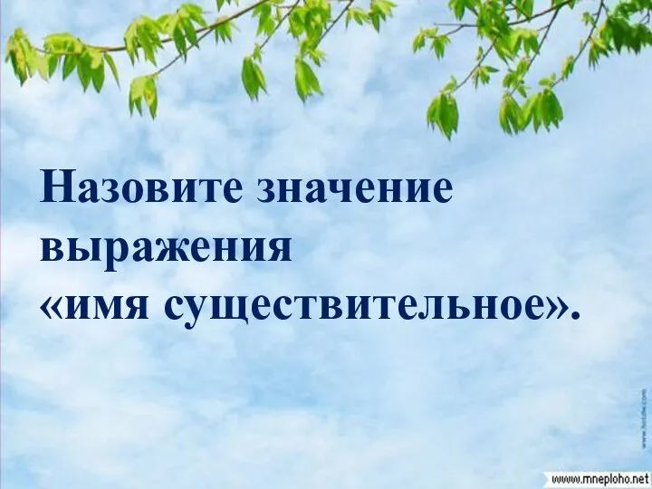 Назовите значение выражения «имя существительное».