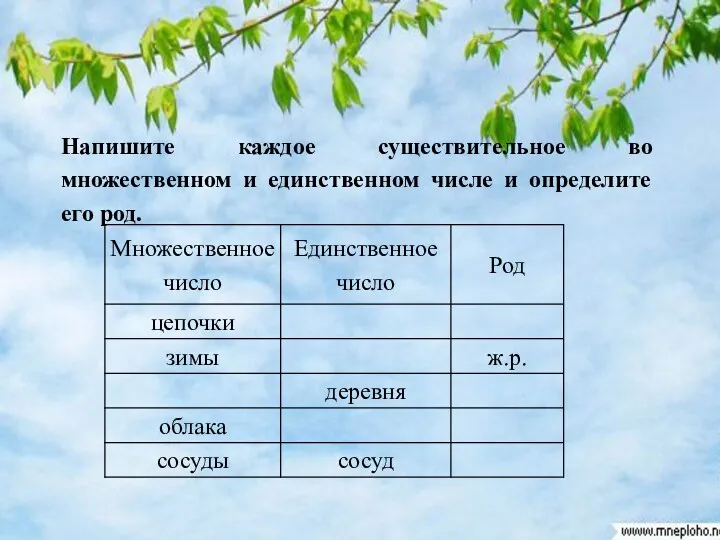 Напишите каждое существительное во множественном и единственном числе и определите его род.