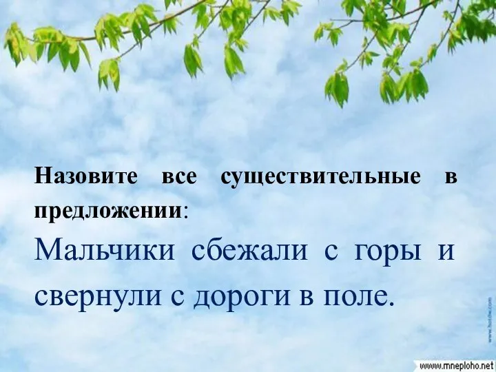 Назовите все существительные в предложении: Мальчики сбежали с горы и свернули с дороги в поле.