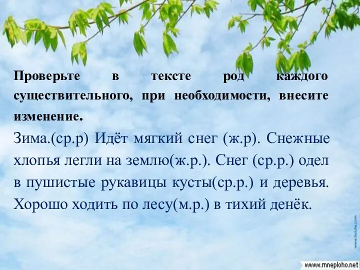 Проверьте в тексте род каждого существительного, при необходимости, внесите изменение.