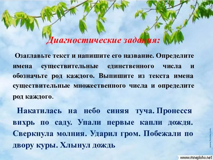 Диагностические задания: Озаглавьте текст и напишите его название. Определите имена