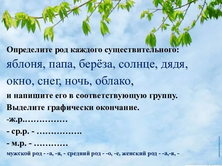 Определите род каждого существительного: яблоня, папа, берёза, солнце, дядя, окно, снег, ночь, облако,