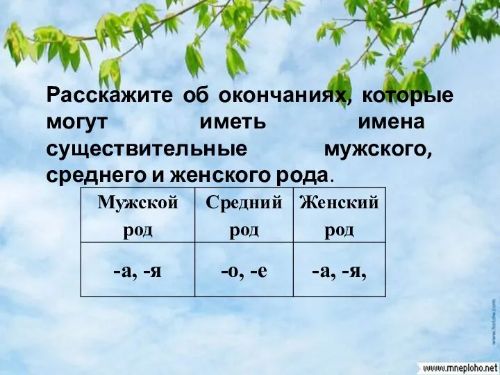 Расскажите об окончаниях, которые могут иметь имена существительные мужского, среднего и женского рода.