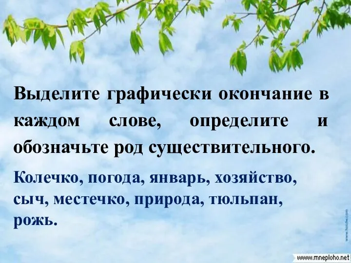 Выделите графически окончание в каждом слове, определите и обозначьте род существительного. Колечко, погода,