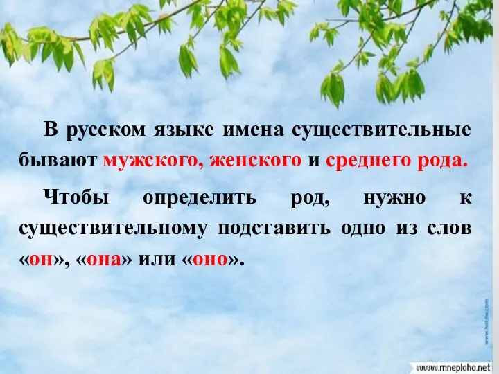 В русском языке имена существительные бывают мужского, женского и среднего рода. Чтобы определить