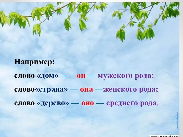 Например: слово «дом» — он — мужского рода; слово«страна» — она —женского рода;