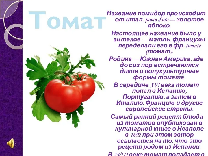 Название помидор происходит от итал. pomo d'oro — золотое яблоко. Настоящее название было