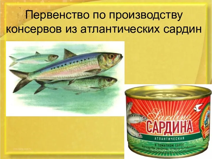 Первенство по производству консервов из атлантических сардин