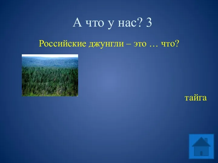 А что у нас? 3 Российские джунгли – это … что? тайга