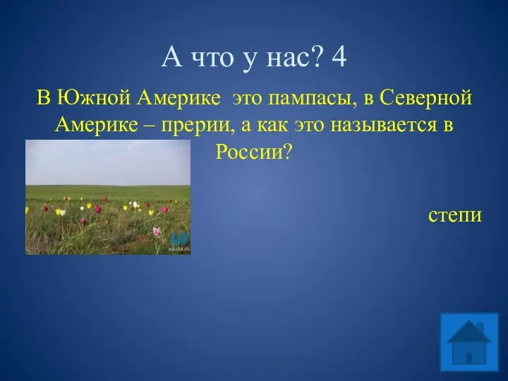 А что у нас? 4 В Южной Америке это пампасы,