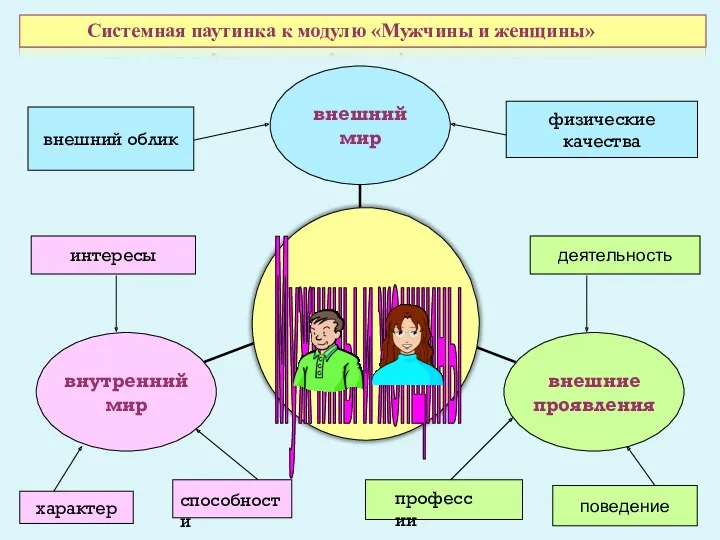 Мужчины и женщины внешний облик физические качества интересы характер Системная