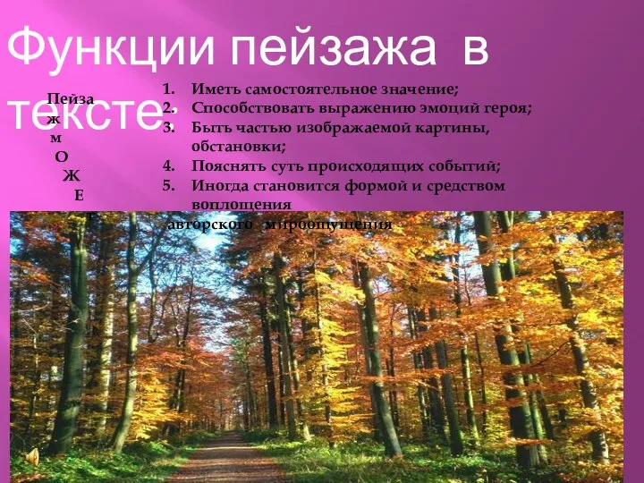 Функции пейзажа в тексте: Иметь самостоятельное значение; Способствовать выражению эмоций