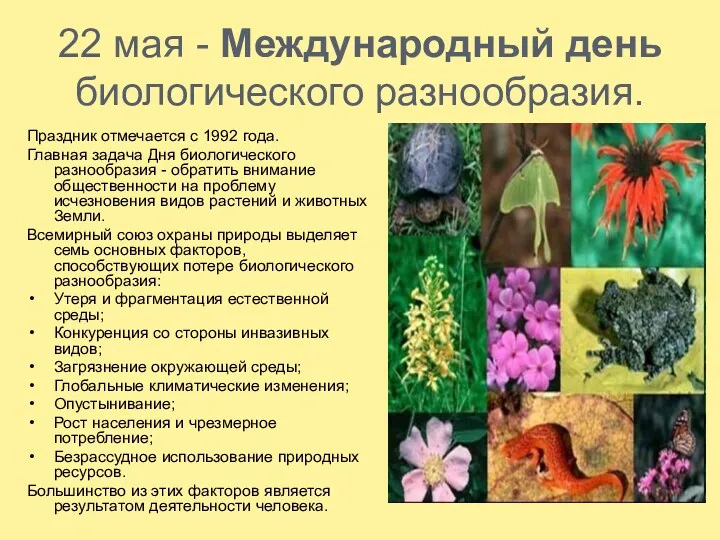 22 мая - Международный день биологического разнообразия. Праздник отмечается с 1992 года. Главная