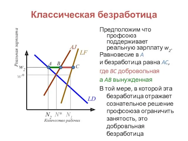 w2 Классическая безработица Предположим что профсоюз поддерживает реальную зарплату w2.