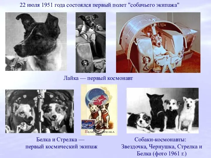 22 июля 1951 года состоялся первый полет "собачьего экипажа" Лайка — первый космонавт