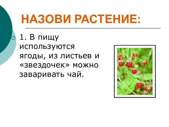 НАЗОВИ РАСТЕНИЕ: 1. В пищу используются ягоды, из листьев и «звездочек» можно заваривать чай.