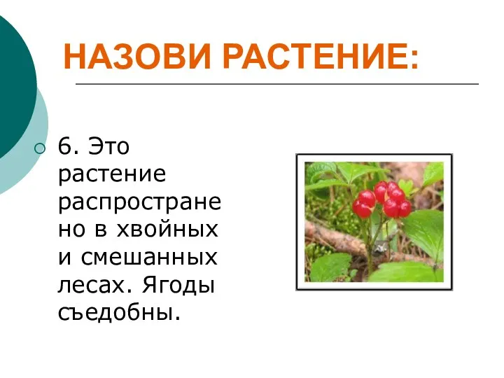 НАЗОВИ РАСТЕНИЕ: 6. Это растение распространено в хвойных и смешанных лесах. Ягоды съедобны.