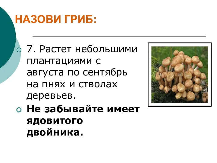 НАЗОВИ ГРИБ: 7. Растет небольшими плантациями с августа по сентябрь