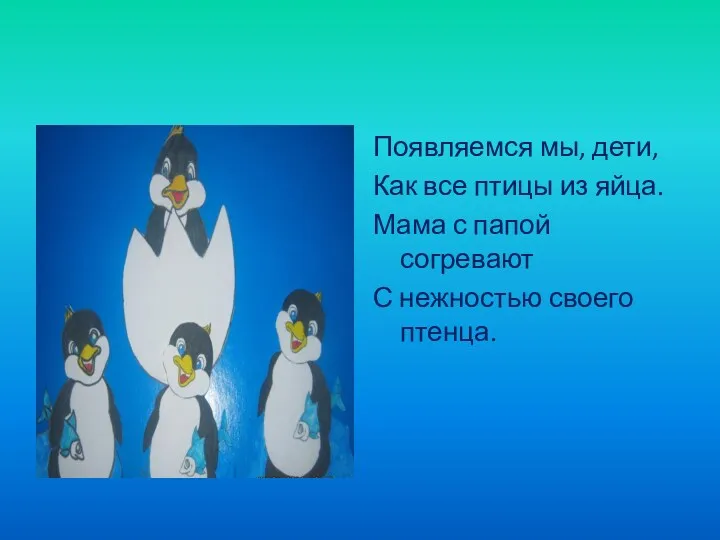 Появляемся мы, дети, Как все птицы из яйца. Мама с папой согревают С нежностью своего птенца.