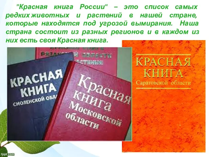 "Красная книга России" – это список самых редких животных и растений в нашей