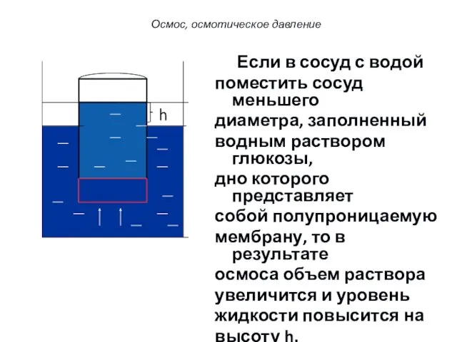 Если в сосуд с водой поместить сосуд меньшего диаметра, заполненный