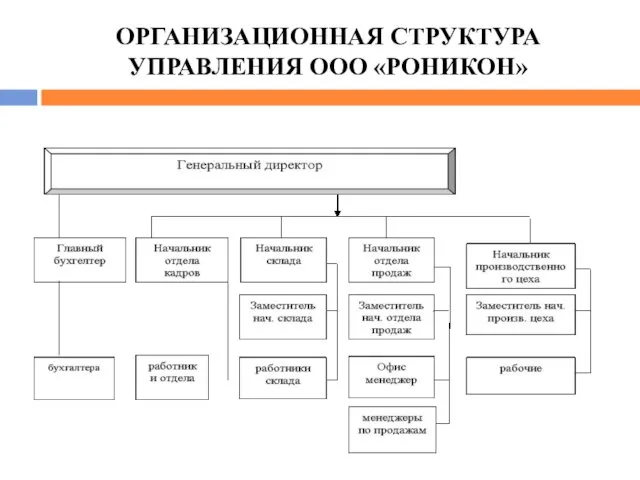 ОРГАНИЗАЦИОННАЯ СТРУКТУРА УПРАВЛЕНИЯ ООО «РОНИКОН»