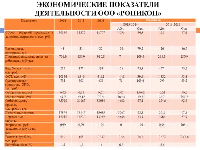 ЭКОНОМИЧЕСКИЕ ПОКАЗАТЕЛИ ДЕЯТЕЛЬНОСТИ ООО «РОНИКОН»