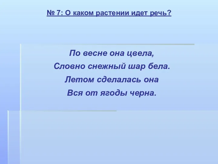 № 7: О каком растении идет речь? По весне она